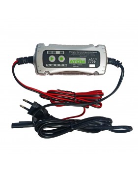 Chargeur Automatique Intelligent ACEDIS Atom 1000 - 6V 12V 1A, pour batteries plomb étanche GEL AGM stationnaires