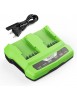 Chargeur de Batterie 24 V pour Greenworks Tools 24 V Compatible avec Toutes Les Batteries de la série Greenworks 24 V 2A