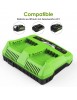 Chargeur de Batterie 24 V pour Greenworks Tools 24 V Compatible avec Toutes Les Batteries de la série Greenworks 24 V 2A